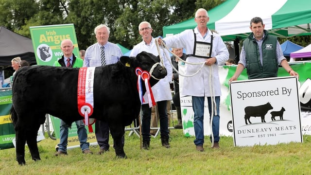 Results: Angus bull calf championships at Moate Show