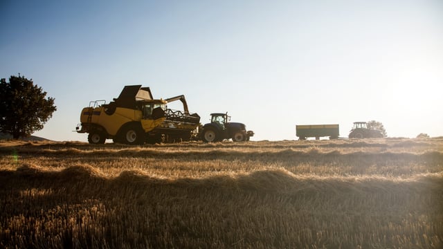 Harvest 2025 on the Ards Peninsula delivers high yields