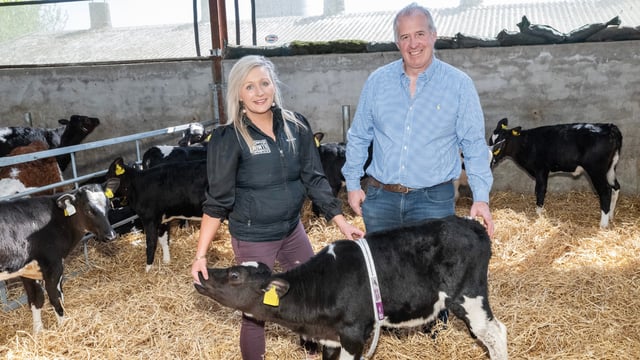 A trusted choice for calf rearing for generations of Limerick farmers