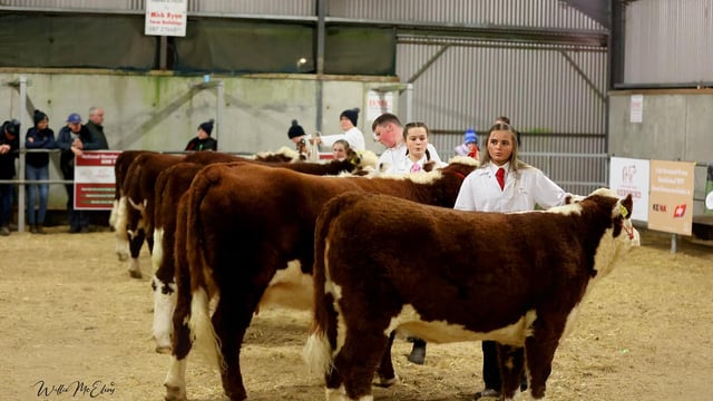 Next Gen Hereford finals set for Tullamore this Saturday
