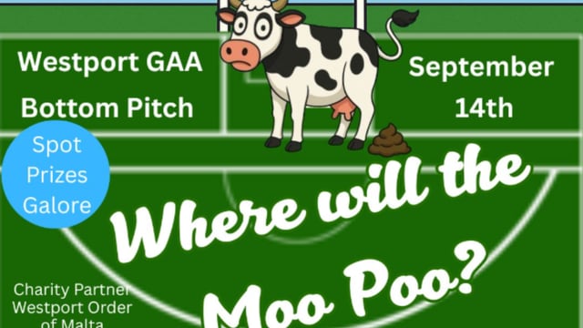 Where will the Moo Poo? Cow to decide winner of GAA fundraiser