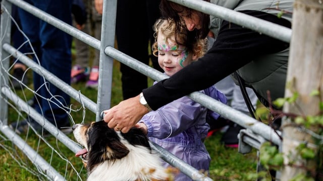 Celebrate farming, flavours, and autumn fun at Airfield Harvest Festival