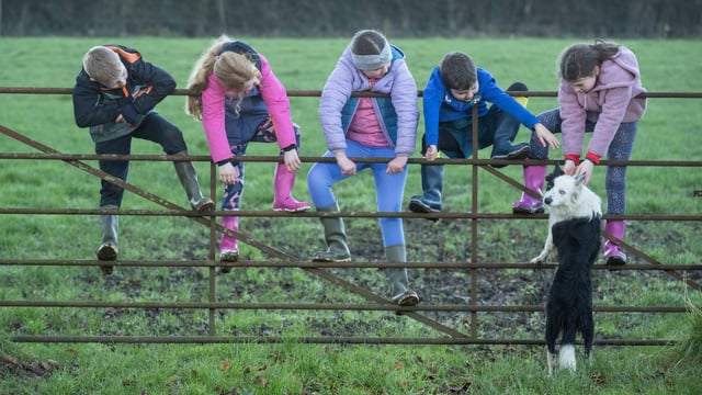 Embrace FARM launches new programme for young people
