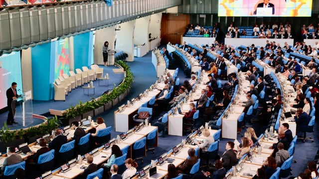 Global conference on sustainable livestock transformation