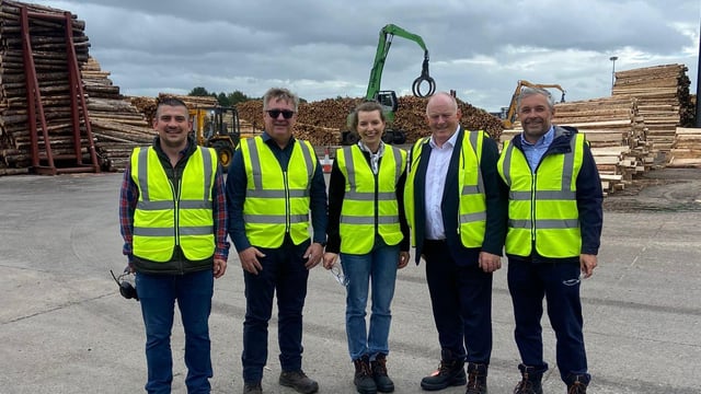 Next forestry programme must ensure that planting is 'economically viable'