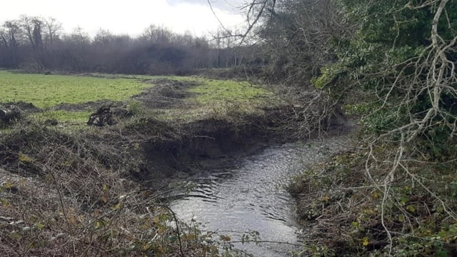 Court: Kilkenny landowner convicted for habitat damage