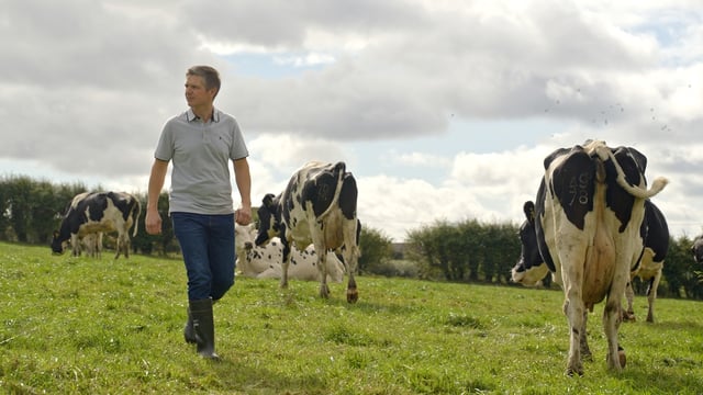 Genotyping lessons from Lisduff Herd as NGP deadline approaches