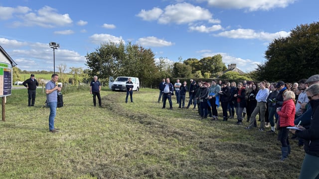 Beef focus: Organic suckler farm on the banks of the Royal Canal