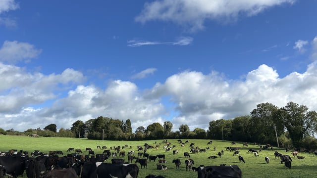 Dairy Focus: Reaping rewards of registered farm partnership in Co. Westmeath