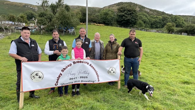 Watch: The rise of the Cooley Sheep Breeders - 24 years since the cull