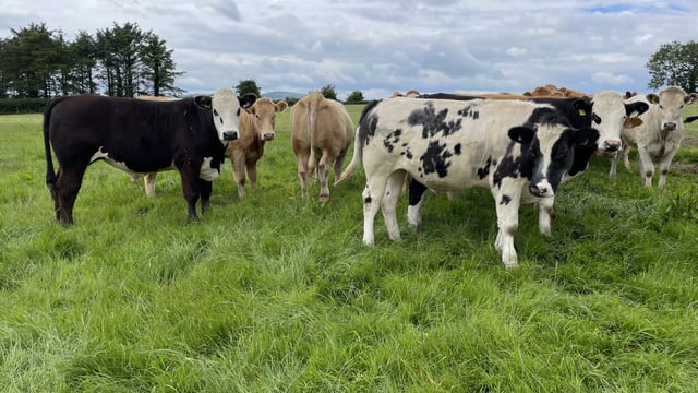 Factory quotes: Further price reductions for Ploughing week