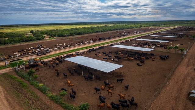 Huge beef farm in Paraguay with low production costs hits the market