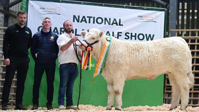 Charolais National Calf Show and Elite Heifer Show and Sale results
