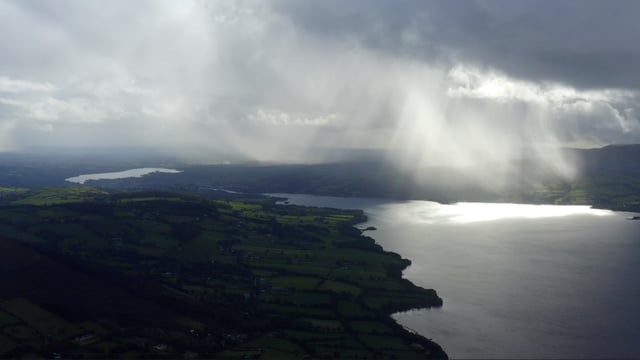 Alternative water source for animals advised amid algal bloom on Lough Derg