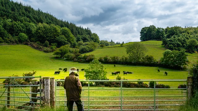 Online programme for supporters of farmers facing mental health struggles