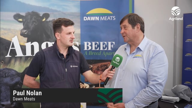 Watch: 'Room for optimism on beef trade into 2026' - Nolan