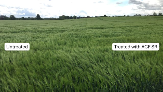 Using science-backed strategies to reduce risks and boost crop yields