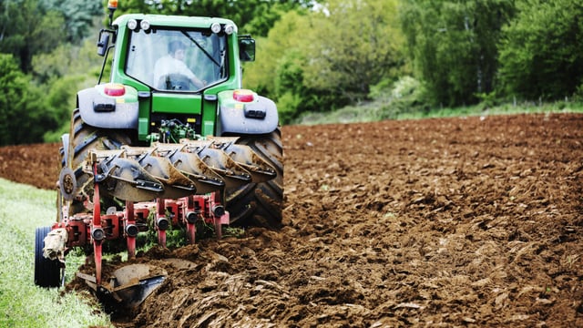 Political pressure growing on govt to 'deliver for tillage sector' in Budget 2026