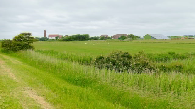 The advantages of clearing field edges efficiently and safely