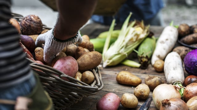 Last call for farmers, fishers and growers to take part in annual Regulator survey
