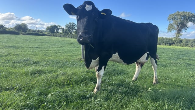 Milk Price Tracker: Most co-ops lowered price for July supplies