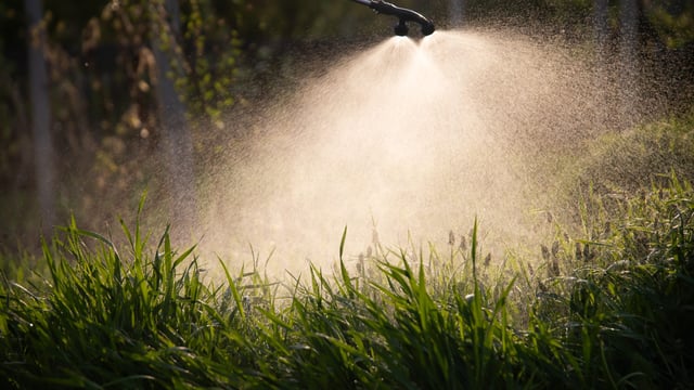 Precision dosing solutions for agriculture and livestock nutrition