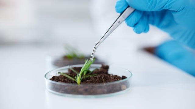 New EU research partnerships on superbugs and agri-data launched