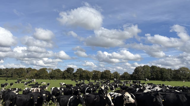 Dairy focus: Maximising margins from winter milk in Co. Meath