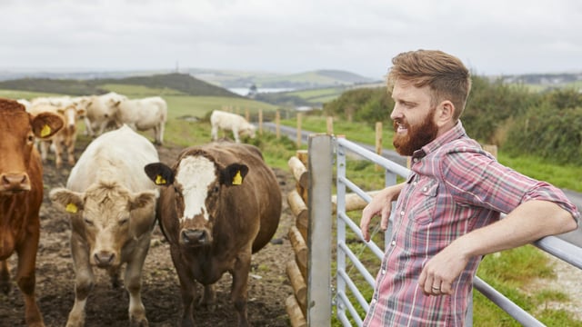 Mercosur is a 'bad deal for Irish and EU farmers' - Sinn Féin