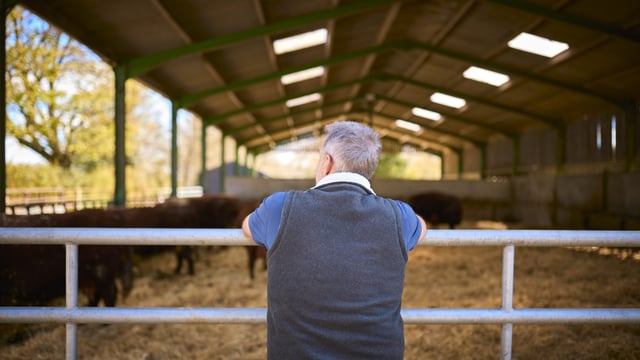 Plan to ensure decisions about farm 'handled in the way' you want - state service