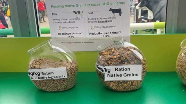 Growers urged to hold off planting winter cereal crops until October