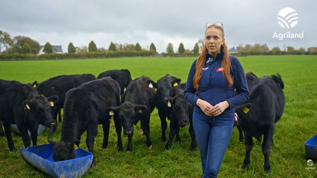 Watch: Availing of fencing and drinker funding on Trim beef farm