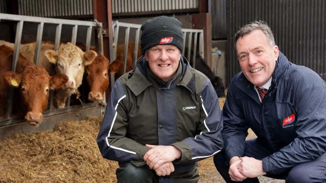 Update from ABP's UK red meat sustainability programme
