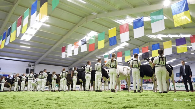 AXA National Dairy Show: Results from day one