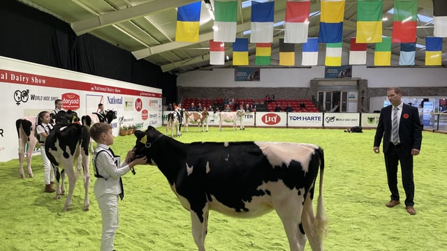 Watch: AXA National Dairy Show day two kicks off