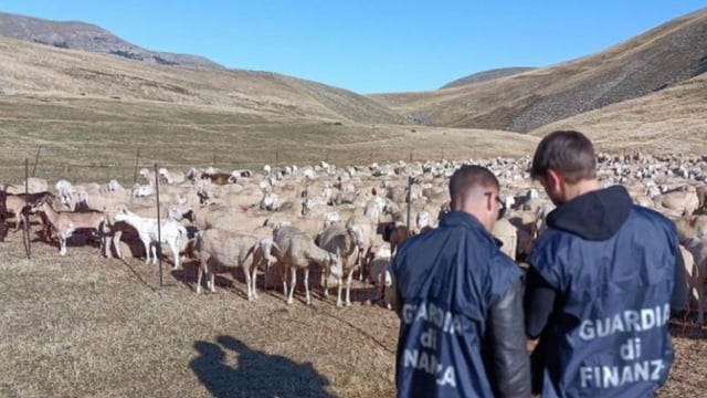 Italy cracks down on €20m organised crime farm funds fraud