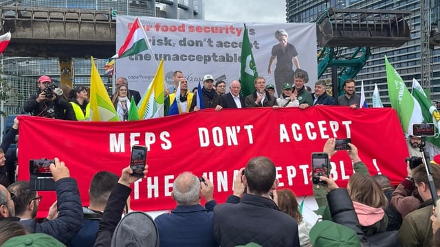 Watch: Farmers hold 'flash action' in Strasbourg over future of CAP