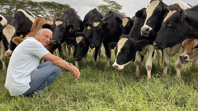 Dairy Focus: Kenyan farmer cares more about genetics than milk yield