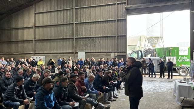 Foyle Farm walk highlights changes that increased cattle ADG by 56%