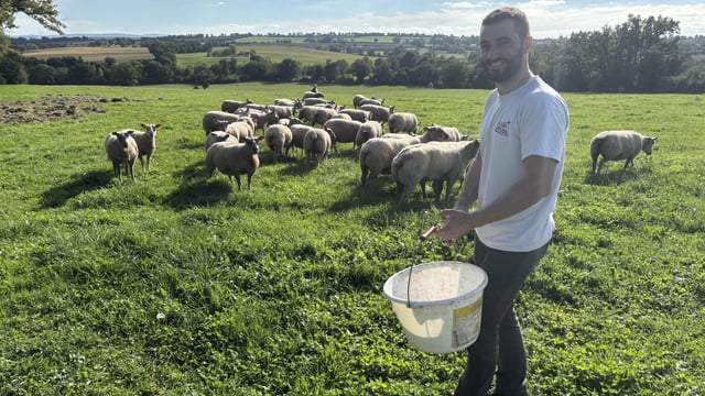 Insights from a 220ha Charollais sheep and Limousin suckler farm in France