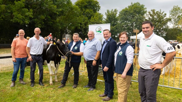 Irish Pure Friesian Club to hold all-new showcase sale
