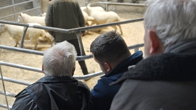 Watch: Budget 2026 - What are farmers at the mart saying?