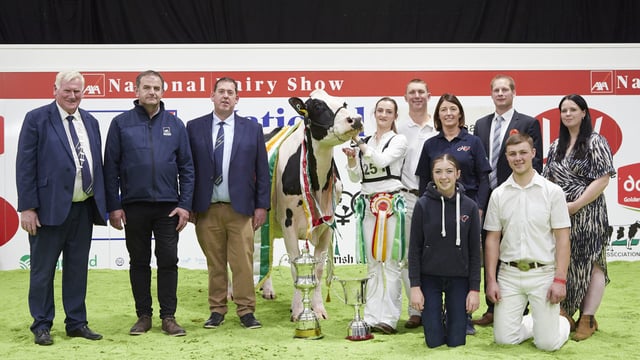 AXA National Dairy Show: Hallow Octain Twizzle is Supreme Champion