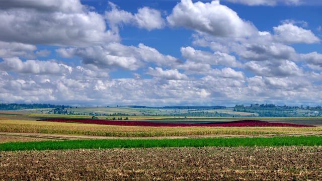 MEPs need 'to land a clear message and secure more ringfenced money for schemes'