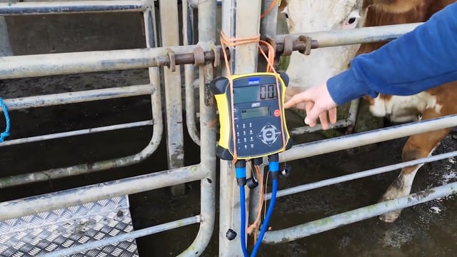 Reminder: Key SCEP and dairy-beef scheme deadline dates