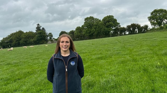 Martin Ryan moves to NCBC as new Thurles Mart manager confirmed