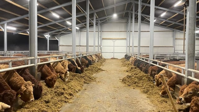 Factory quotes: Prices lift for short week as Christmas orders arrive