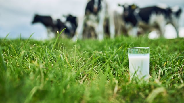 'Taste our milk before you leave the country' TD urges Commissioner Sefcovic