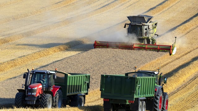 Dairygold confirms 2025 harvest cereal prices