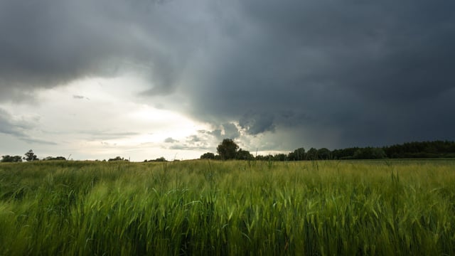 National Emergency Co-ordination Group convened as Ireland enters 'storm season'